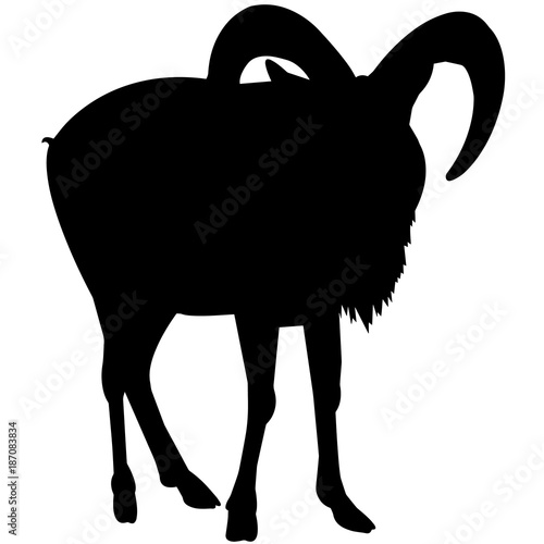 Urial Silhouette Vector Graphics