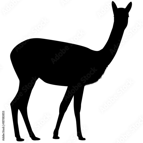 Vicuna Silhouette Vector Graphics