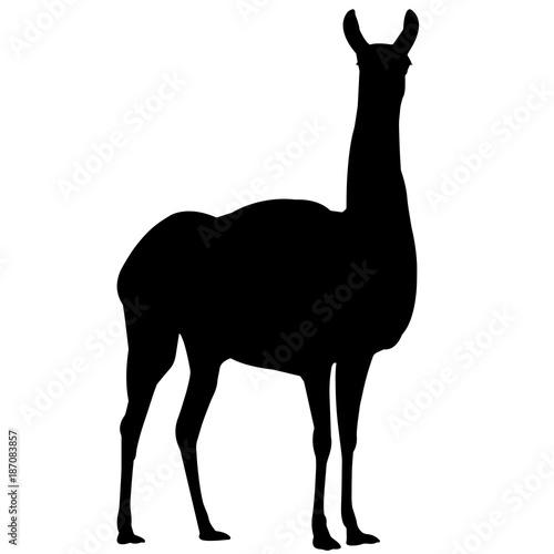 Vicuna Silhouette Vector Graphics
