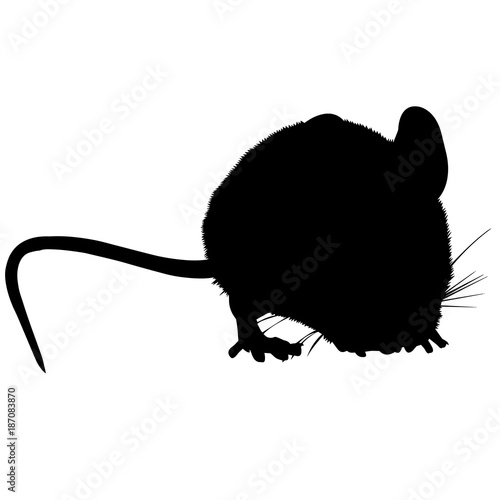 Vole Silhouette Vector Graphics