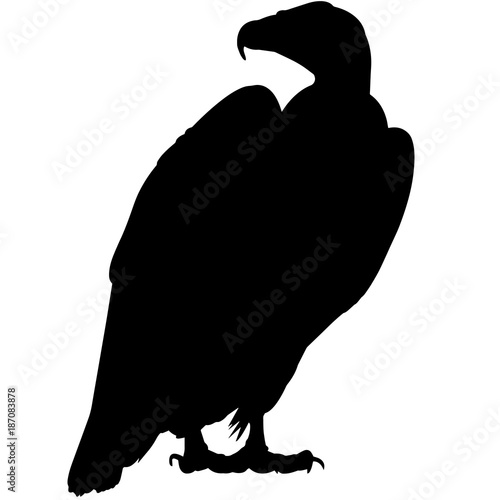 Vulture Silhouette Vector Graphics