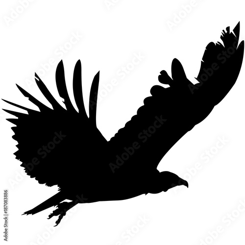 Vulture Silhouette Vector Graphics