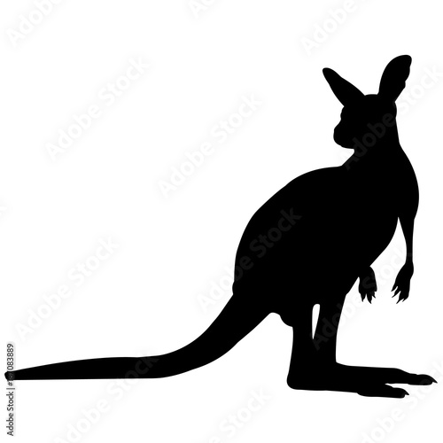 Wallaby Silhouette Vector Graphics