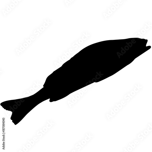 Yellow perch Silhouette Vector Graphics