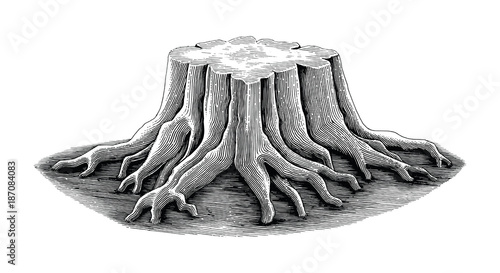 Stump black and white sketch engraving style isolate on white background