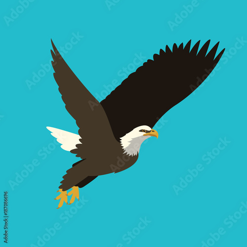 eagle vector illustration   flat style profile