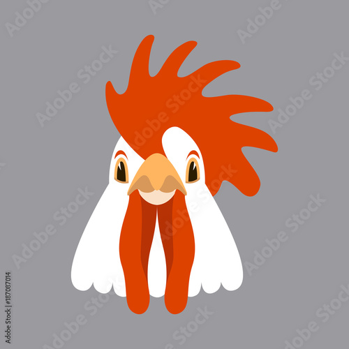 rooster  head vector illustration   flat style  front