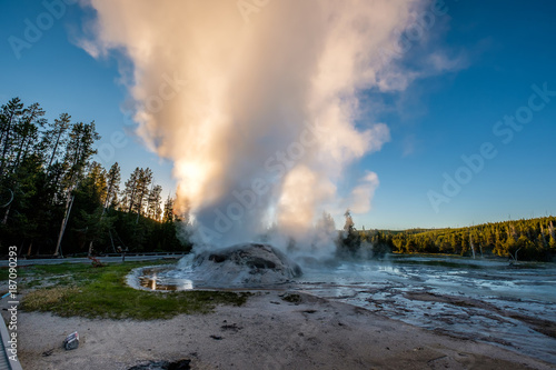 Grotto Geyser in Yellowstone National Park