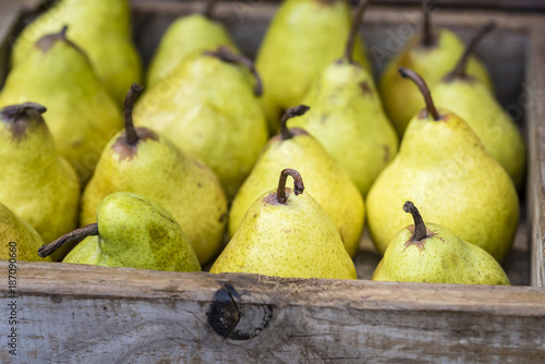 Yellow Williams (Bartlett) pears in wooden box, closeup, background. .Fresh organic fruit display at market, side view.