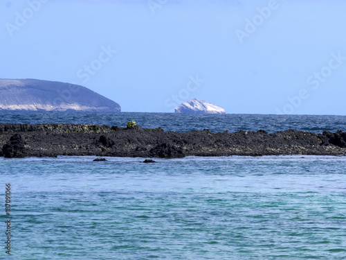 The southern island of Isabela is formed by black lava with mangrove stands, Glapagos, Ecuador photo