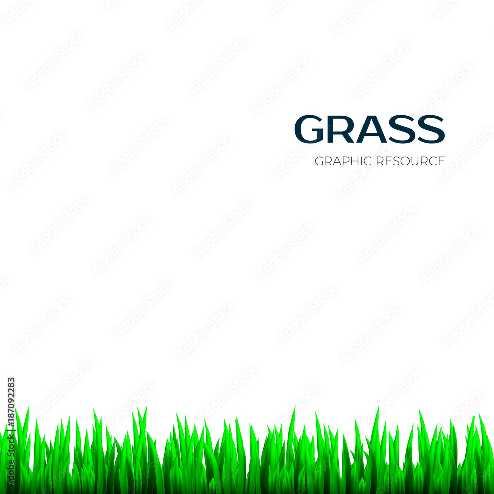 Obraz premium Grass texture. Realistic horizontal Herb botany frame for banner. Vector illustration