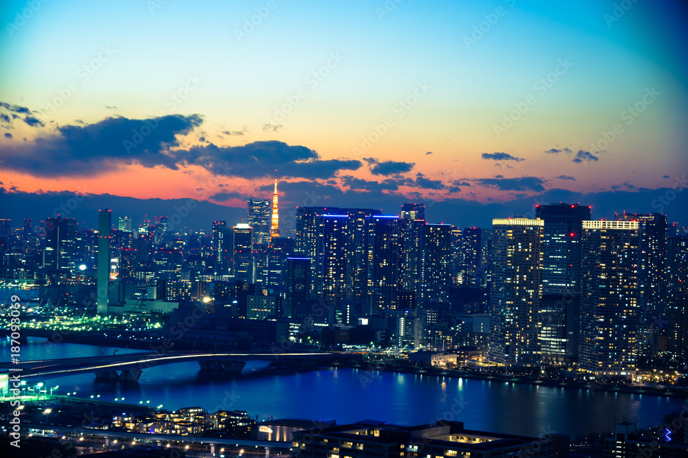 Fototapeta premium Cityscape view of Tokyo Japan