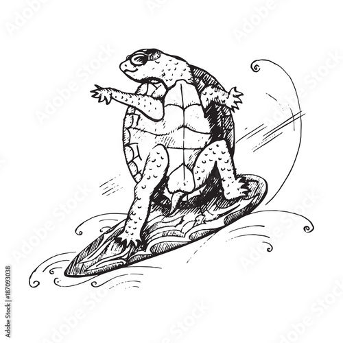 Cartoon character of turtle in glasses on surfboard on wave, hand drawn doodle sketch, isolated vector outline illustration