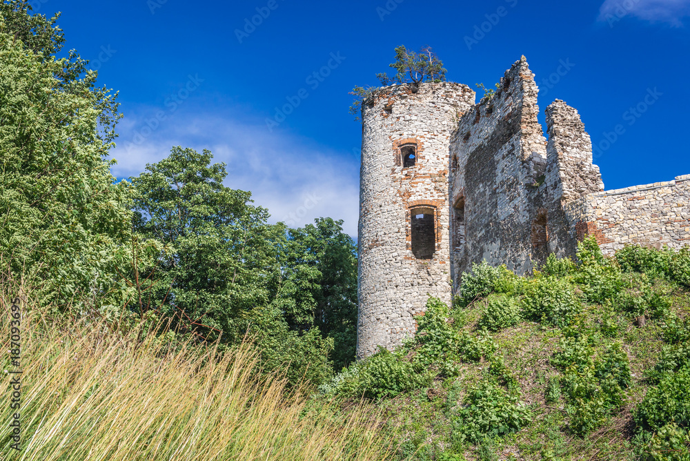 OUtside view of ruined walls and tower of Tenczyn Castle in Rudno village, Poland