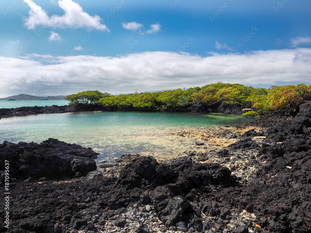 The southern island of Isabela is formed by black lava with mangrove stands, Glapagos, Ecuador The southern island of Isabela is formed by black lava with mangrove stands, Glapagos, Ecuador