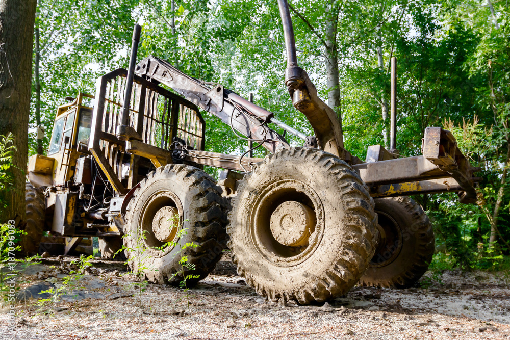 Machines for deforestation are parked in forest Machines for deforestation are parked in forest