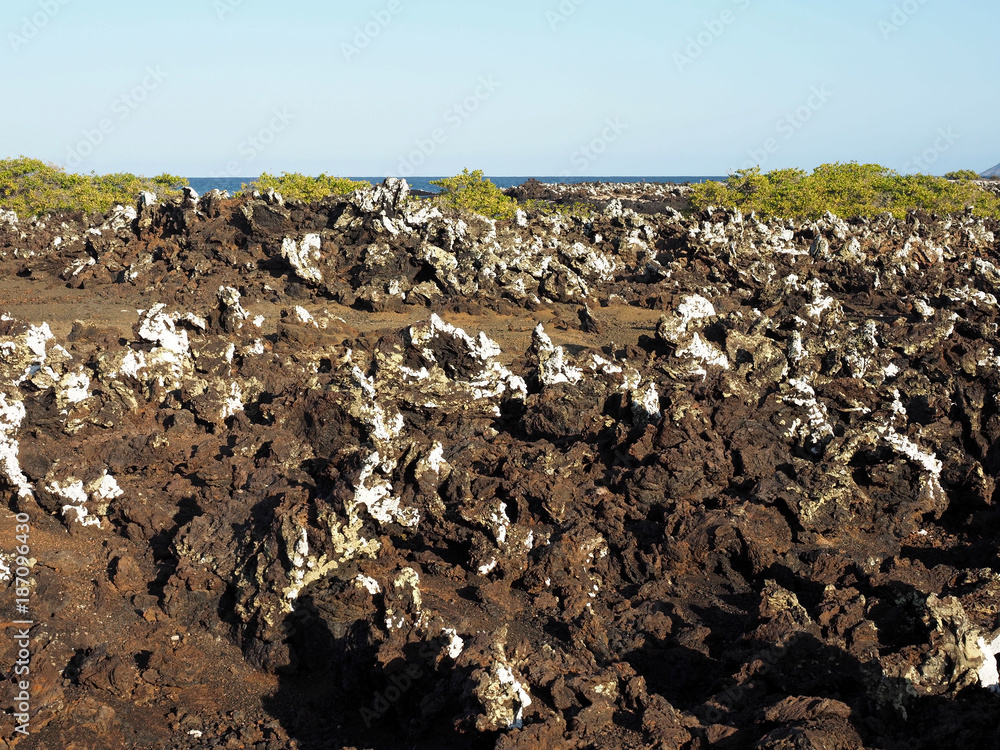Obraz premium Stuffed lava on island Islote Tintoreras commemorates the moonland, Galapagos, Ecuador