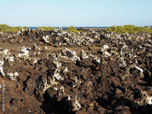 Stuffed lava on island Islote Tintoreras commemorates the moonland, Galapagos, Ecuador