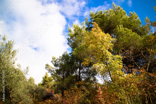 Paesaggio autunnale Morrone, Parco nazionale della Majella, Sulmona, Abruzzo, Italia