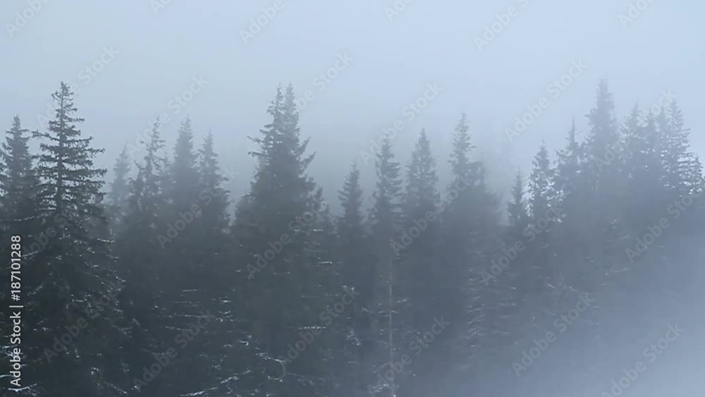 Mist fog moving over dark winter mountain forest travel snow hiking Mist fog moving over dark winter mountain forest travel snow hiking