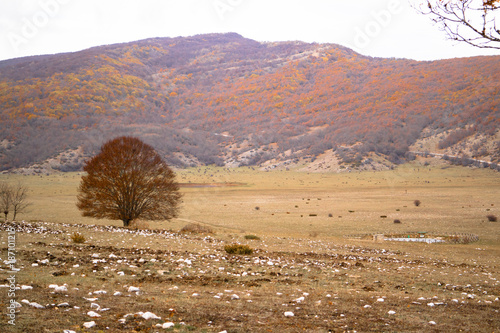 Paesaggio autunnale, Parco regionale Sirente Velino, Secinaro, Abruzzo, Italia