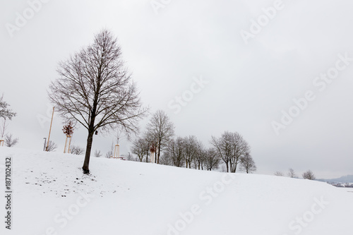 A tree in a mountain field totally covered by snow, beneath an empty sky