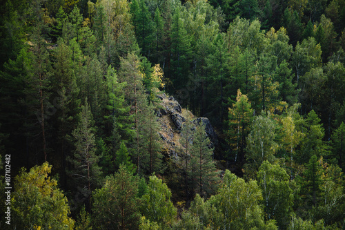 башкирский лес © Владимир Хланин