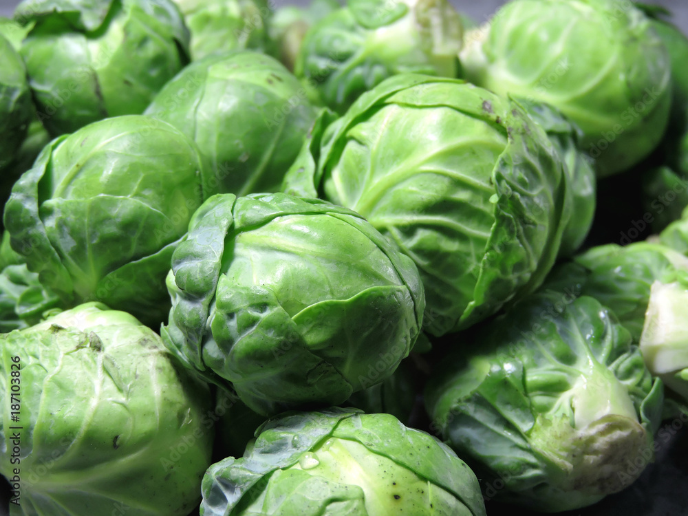 Fototapeta premium Brussels sprouts