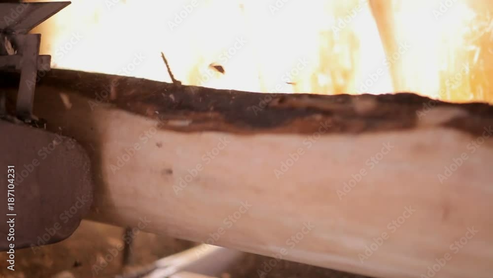 View of log moving along conveyor belt at the furniture factory. Manufacture of cabinet and upholstered furniture. Removal of bark from logs View of log moving along conveyor belt at the furniture factory. Manufacture of cabinet and upholstered furniture. Removal of bark from logs