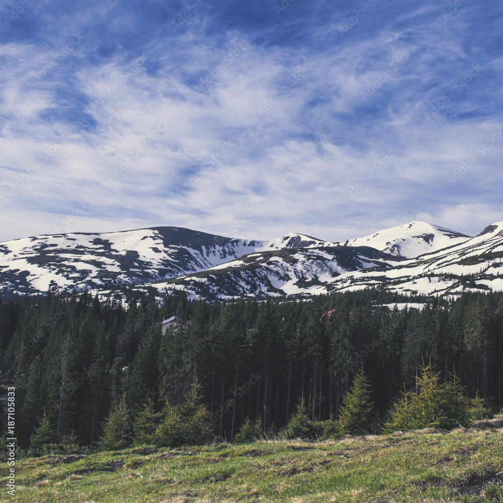 Obraz premium Spring mountain landscape with snow and fir forest. Dramatic clouds lying on the horizon and sun is shining. Natural outdoor travel background in retro hipster style.