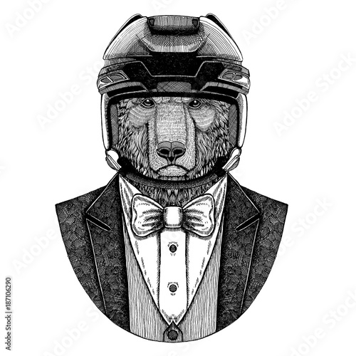 Canvas Print Brown bear, bear Russian bear Animal wearing jacket with bow-tie and hockey helmet or aviatior helmet