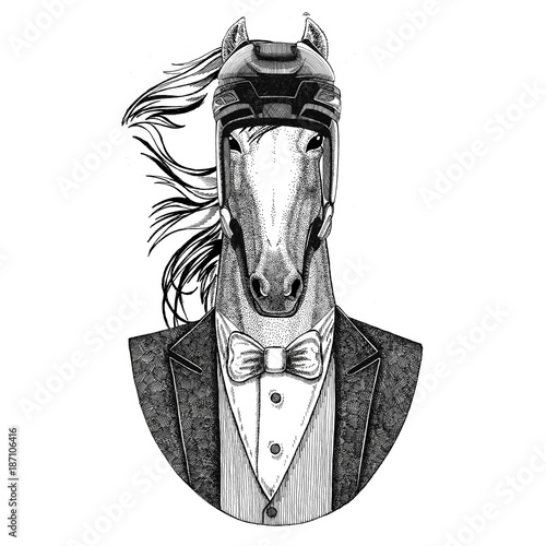 Photography Horse, hoss, knight, steed, courser Animal wearing jacket with bow-tie and hockey helmet or aviatior helmet