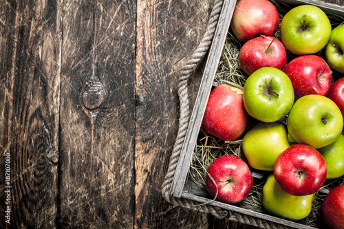 box with fresh red and green apples.