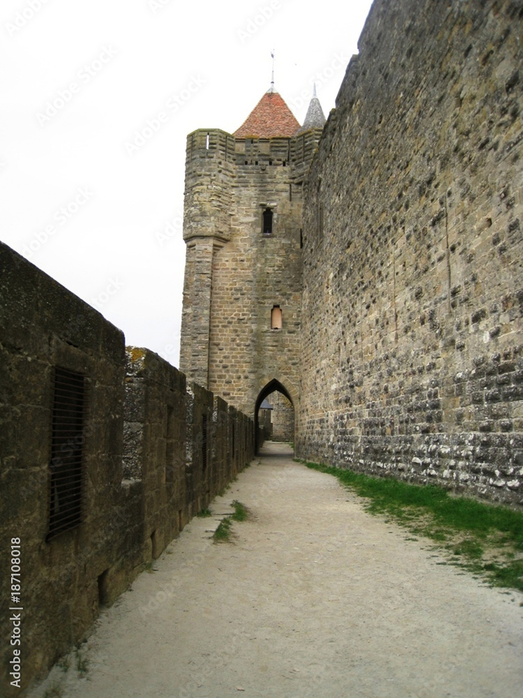 Obraz premium Carcassonne