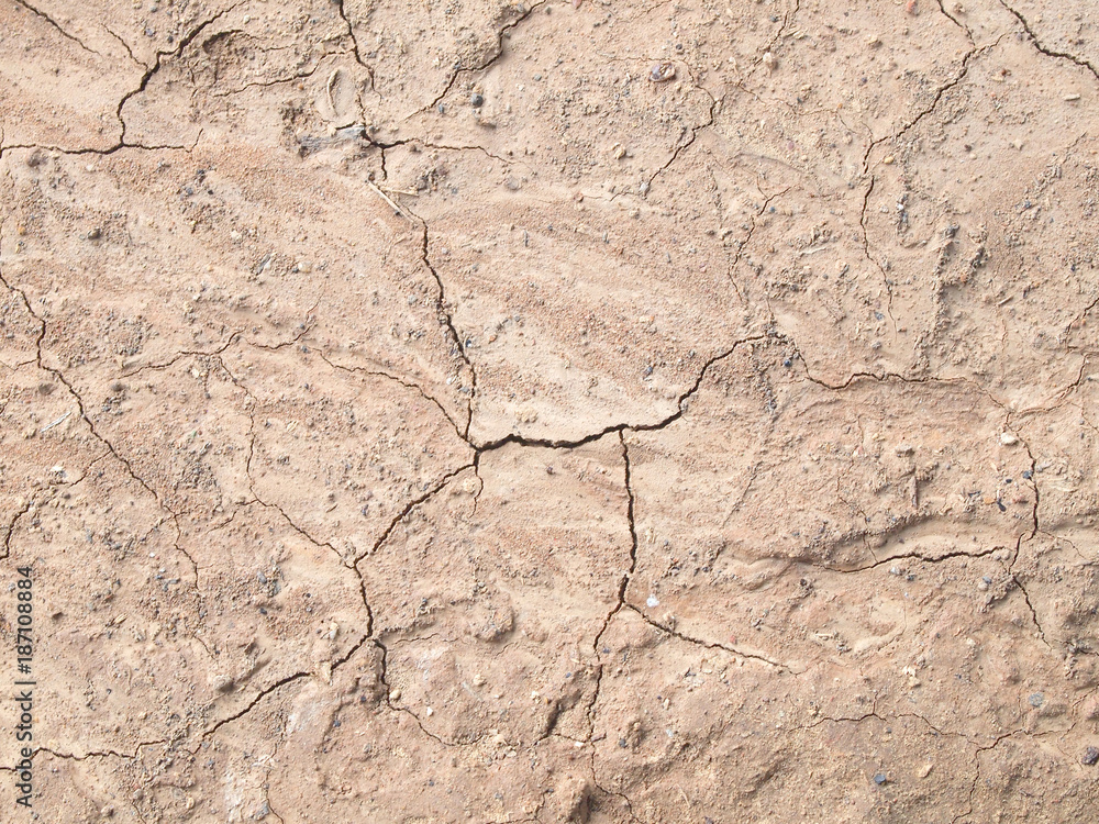 Barren ground horizontal Barren ground horizontal