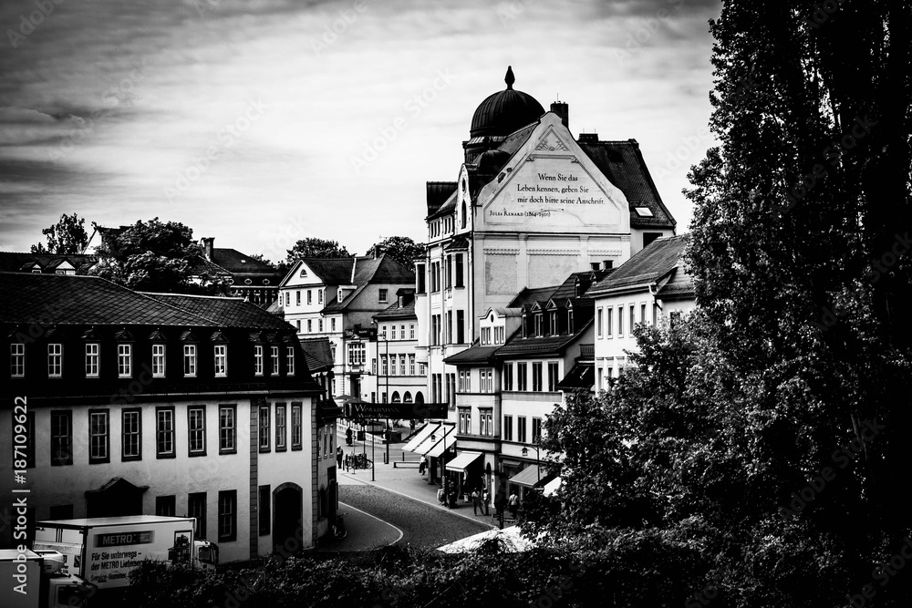 Goethes Wohnhaus am Frauenplan in Weimar (schwarz / weiß)