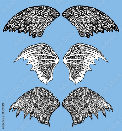 set of the fabulous decorative wings