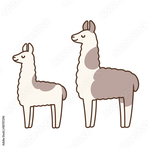 Cute cartoon llamas