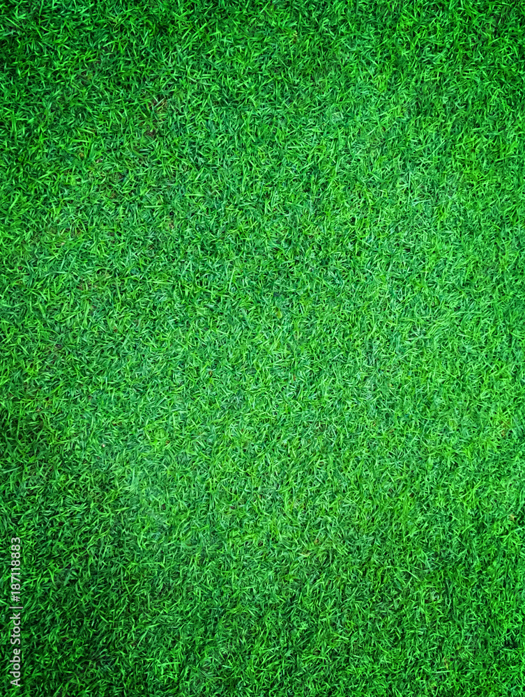 Fototapeta premium Green artificial turf pattern ,texture for background