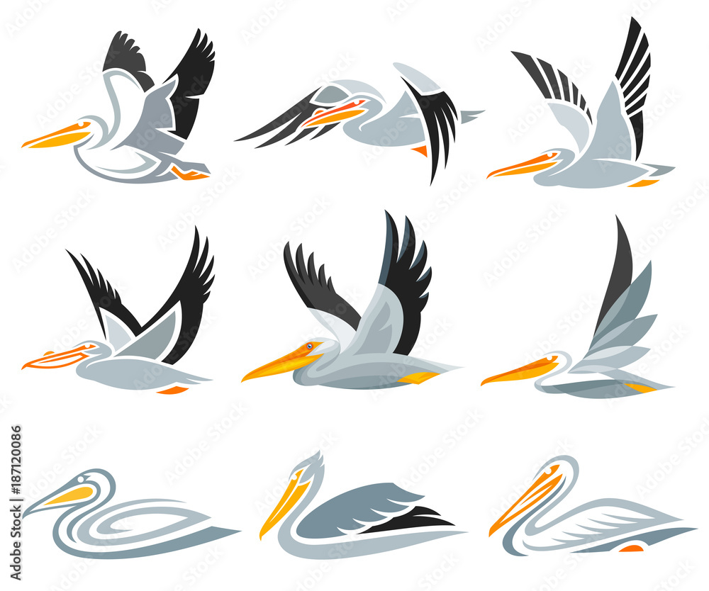 Fototapeta premium Set of Pelicans in different styles