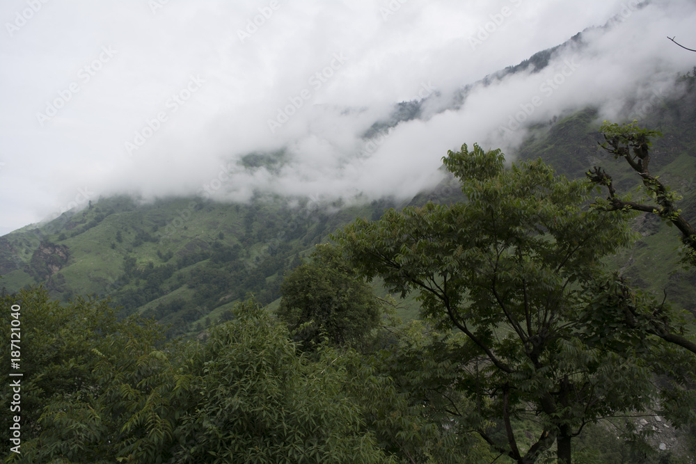 mountain scene at Govind Pashu Vihar National Park and Sanctuary