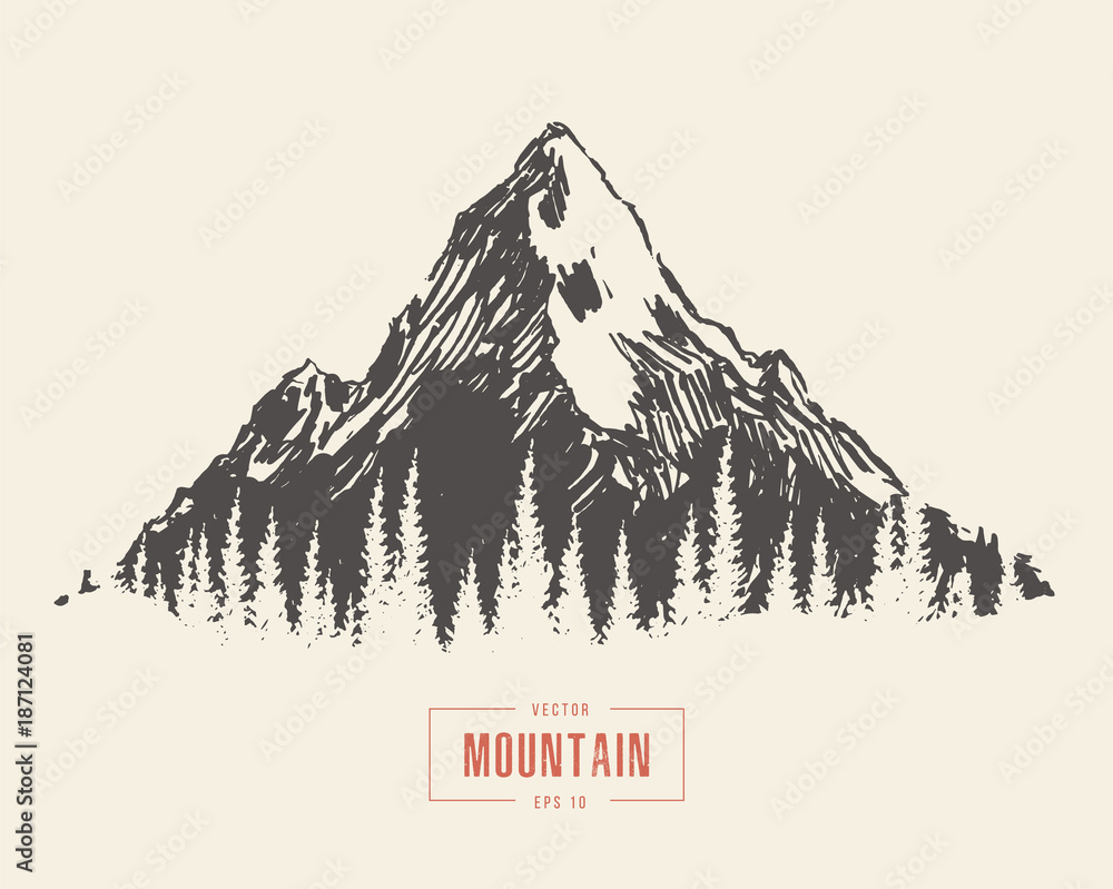 Naklejka premium Hand drawn mountain landscape pine forest vector