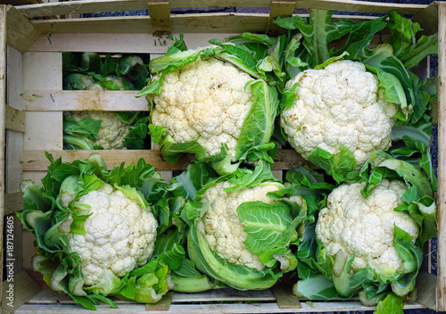 Fresh organic white cauliflower at a farmers market