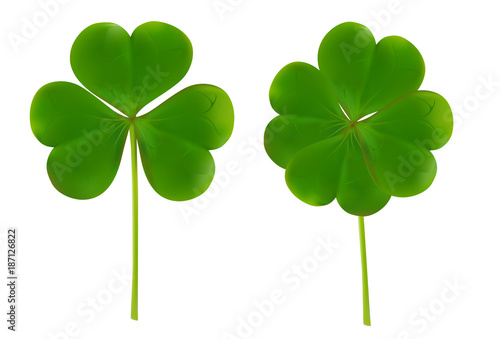 clover four leaf for saint patrick day vector illustration isolated on white background. realistic vector