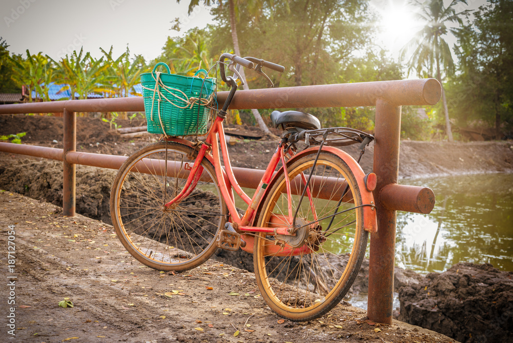 Fototapeta premium The old bicycle