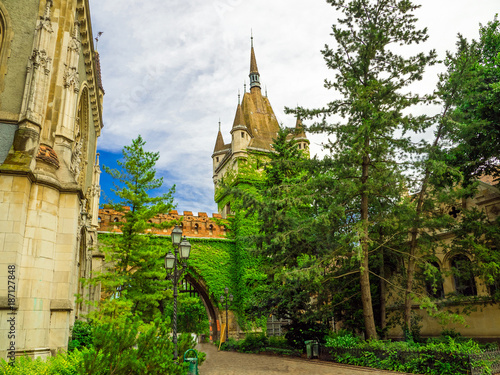 Vajdahunyad Castle (Vajdahu...