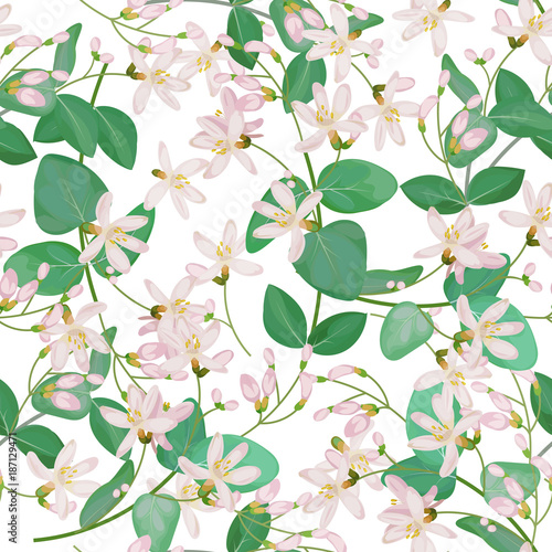 Seamless pattern with honeysuckle 4