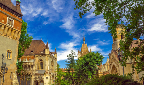 Vajdahunyad Castle (Vajdahu...