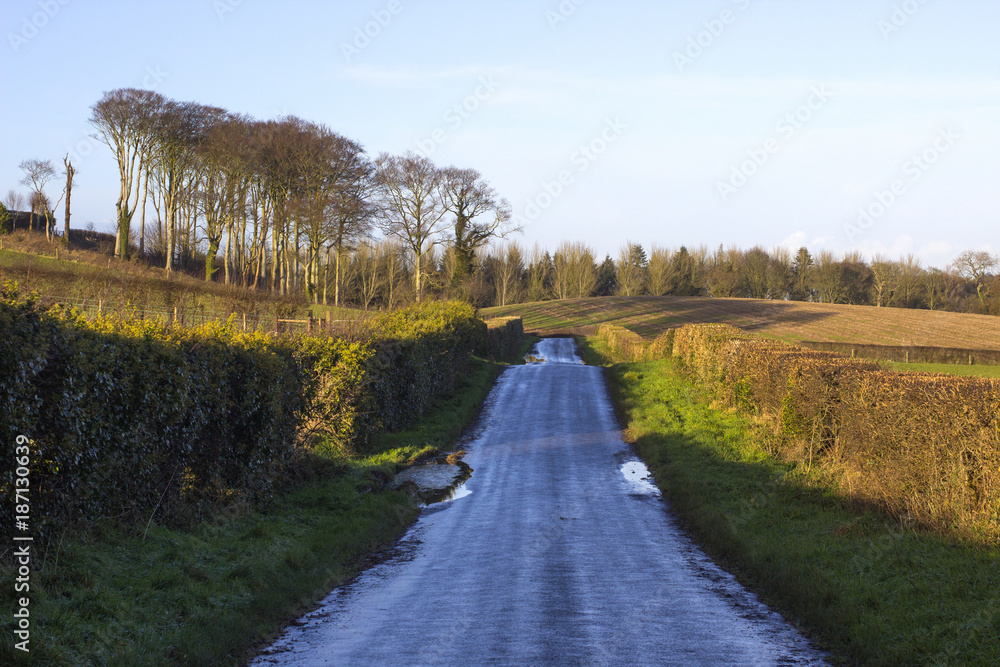 A wet asphalt country road in Northern Ireland running into the distance and flanked on each side by trimmed hawthorn hedges