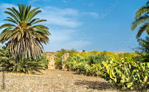 View of Dougga  an ancient Roman town in Tunisia